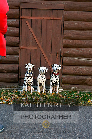2021-KathleenRileyPhotography-6997