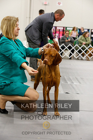 2022-KathleenRileyPhotography-1660