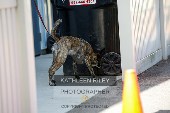 2022-KathleenRileyPhotography-4247