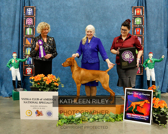 2022-KathleenRileyPhotography-7581