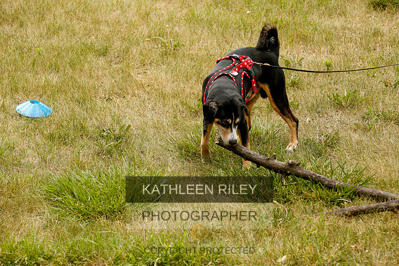 2022-KathleenRileyPhotography-0377