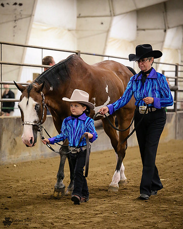 Horse Show Photographer