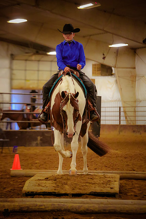 Horse Show Photographer