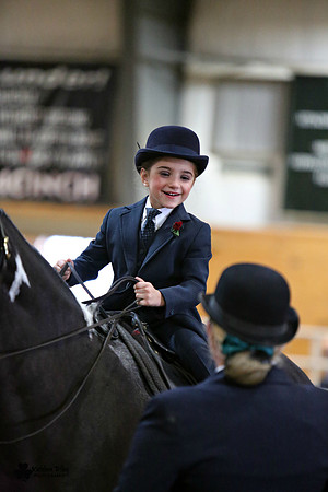 Horse Show Photographer