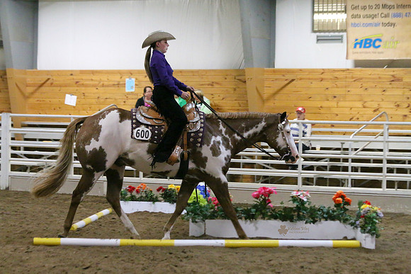 Horse Show Photographer