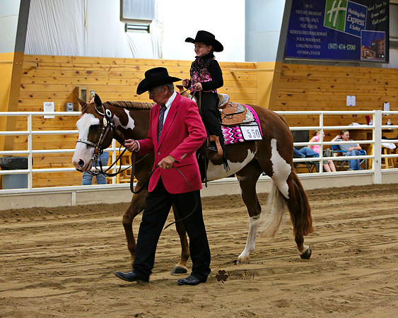 Horse Show Photographer