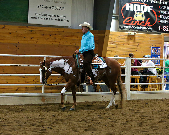 Horse Show Photographer