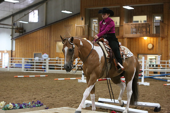Horse Show Photographer