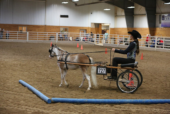 Horse Show Photographer