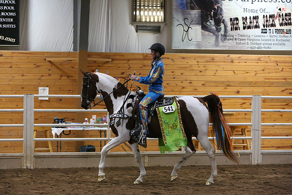Horse Show Photographer