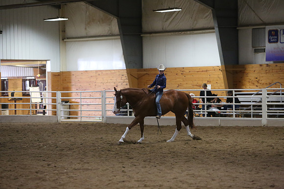 Horse Show Photographer