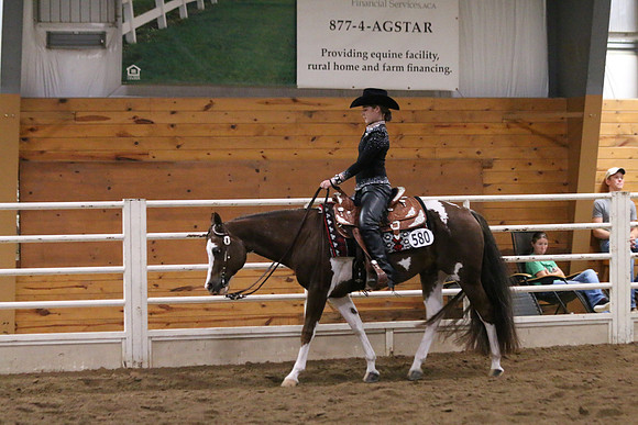 Horse Show Photographer