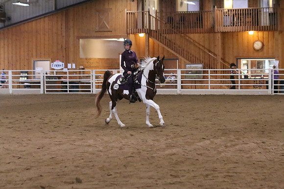 Horse Show Photographer