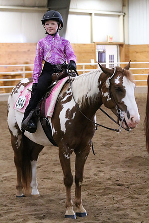 Horse Show Photographer