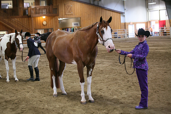 Horse Show Photographer
