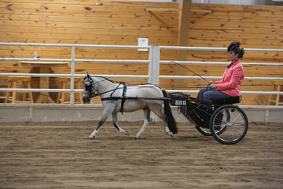 Horse Show Photographer