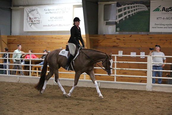 Horse Show Photographer