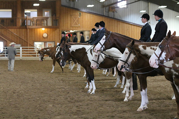 Horse Show Photographer