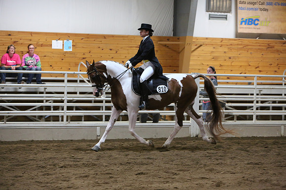 Horse Show Photographer