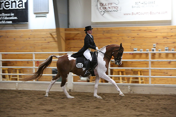 Horse Show Photographer