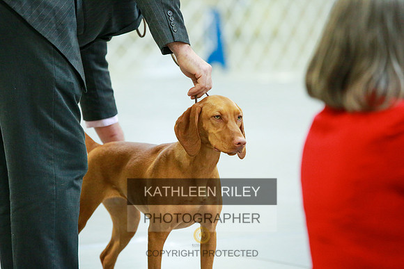 2022-KathleenRileyPhotography-8733