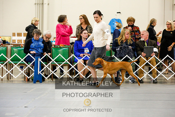 2022-KathleenRileyPhotography-9738