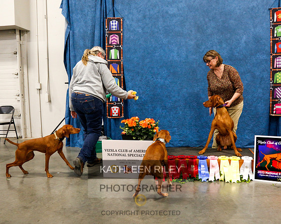 2022-KathleenRileyPhotography-0949