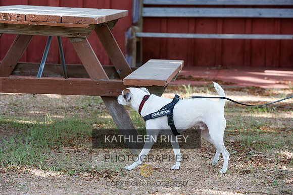 2022-KathleenRileyPhotography-0588