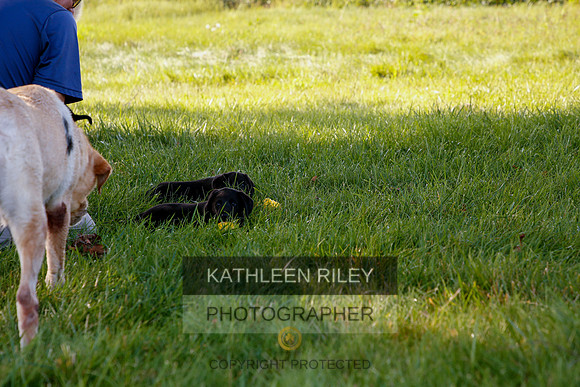 2022-KathleenRileyPhotography-5450