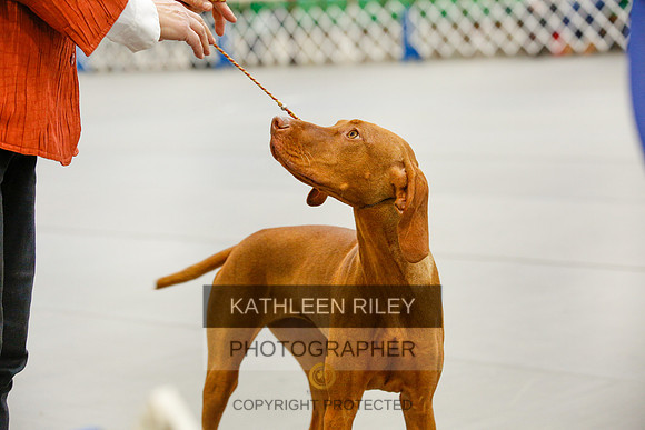 2022-KathleenRileyPhotography-9951