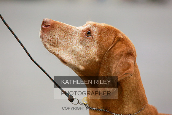 2022-KathleenRileyPhotography-8147