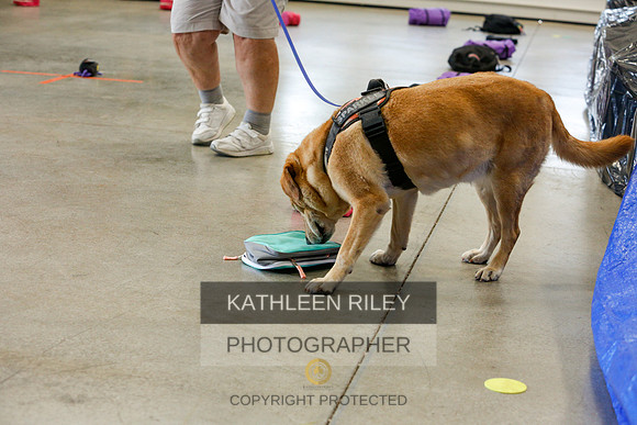 2022-KathleenRileyPhotography-5002