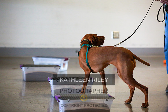 2022-KathleenRileyPhotography-7718