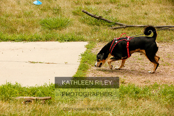 2022-KathleenRileyPhotography-0367