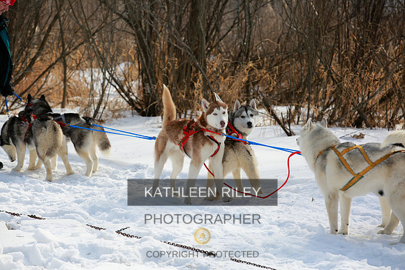 2022-KathleenRileyPhotography-4468