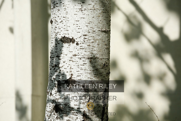 2022-KathleenRileyPhotography-2681