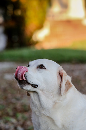 2020-Kathleen-Riley-Photography-2060