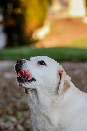 2020-Kathleen-Riley-Photography-2061
