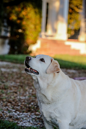 2020-Kathleen-Riley-Photography-2064