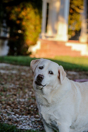 2020-Kathleen-Riley-Photography-2067