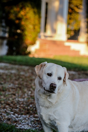 2020-Kathleen-Riley-Photography-2068