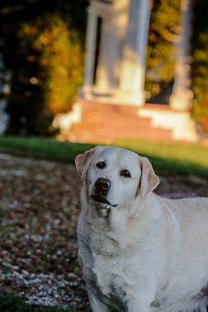 2020-Kathleen-Riley-Photography-2072