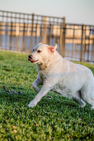 2020-Kathleen-Riley-Photography-2137