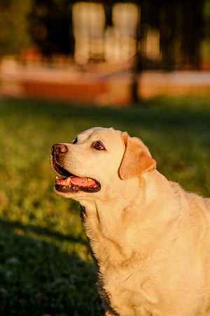 2020-Kathleen-Riley-Photography-2157