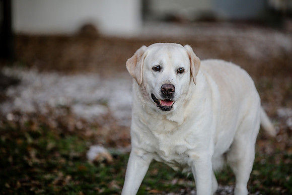 2020-Kathleen-Riley-Photography-5301