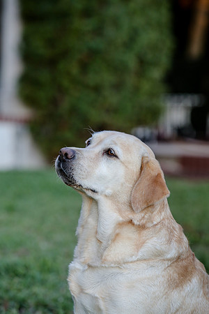 2020-Kathleen-Riley-Photography-2214