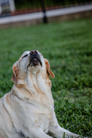 2020-Kathleen-Riley-Photography-2218