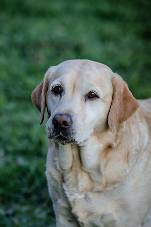 2020-Kathleen-Riley-Photography-2223