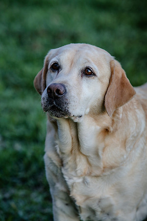 2020-Kathleen-Riley-Photography-2224