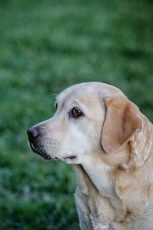2020-Kathleen-Riley-Photography-2229